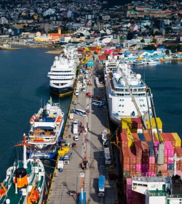 WhatsApp Image 2026-01-24 at 12.18.13