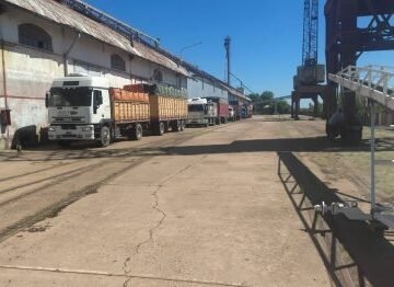 barranqueras-semillas-420x262