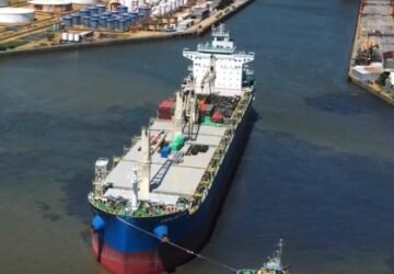 dock-sud-skyline-420x300